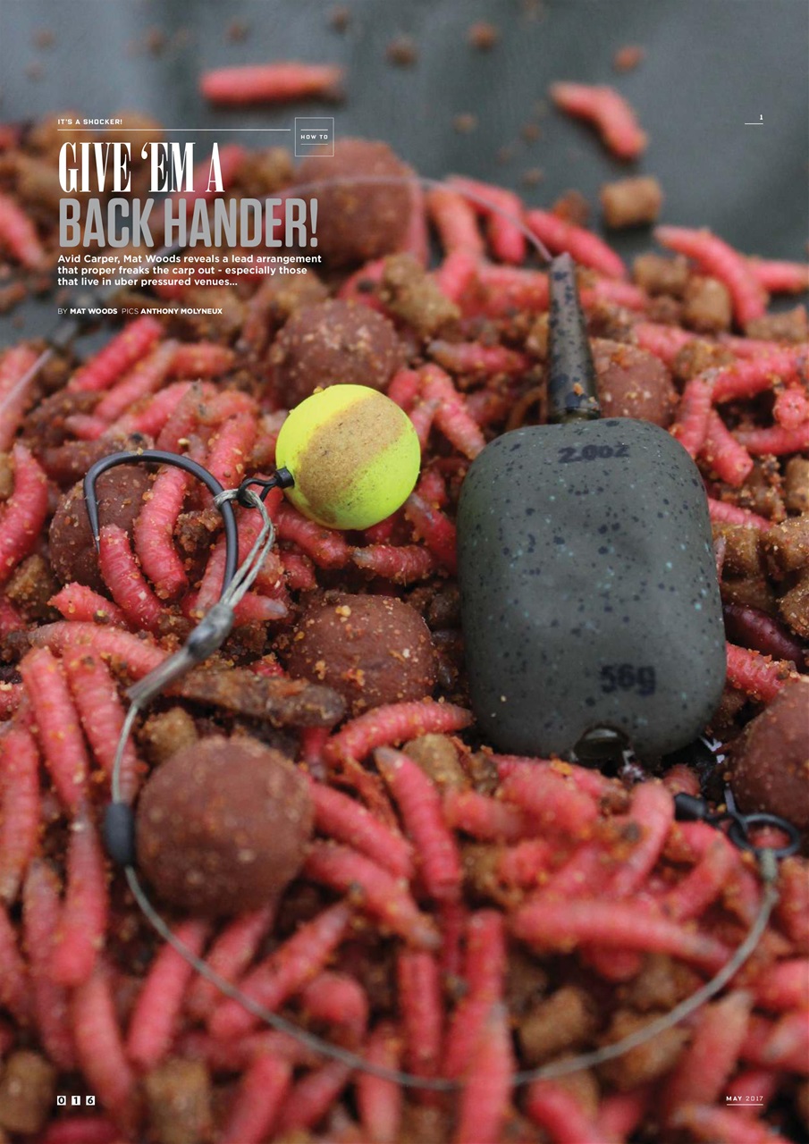 CARPology Magazine Preview Pages