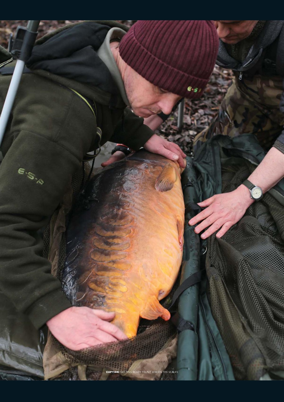 CARPology Magazine Preview Pages