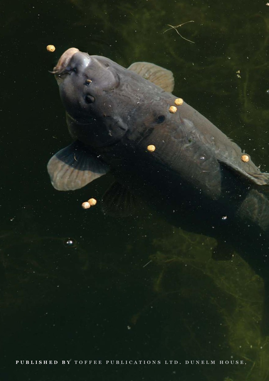 CARPology Magazine Preview Pages