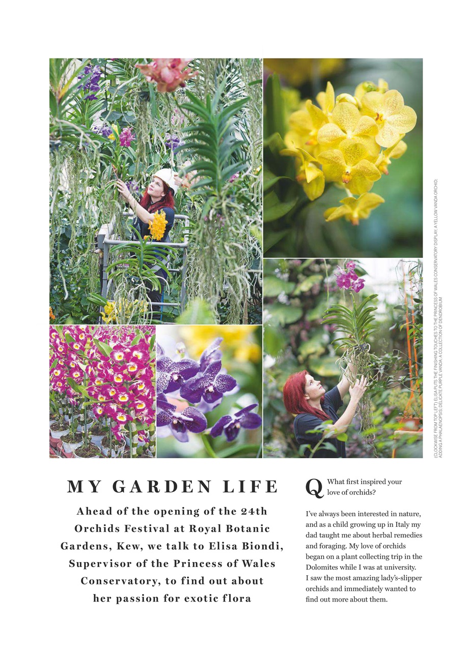 Homes & Gardens Preview Pages