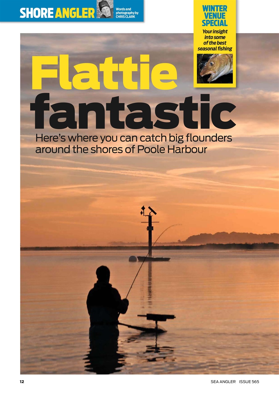 Sea Angler Preview Pages