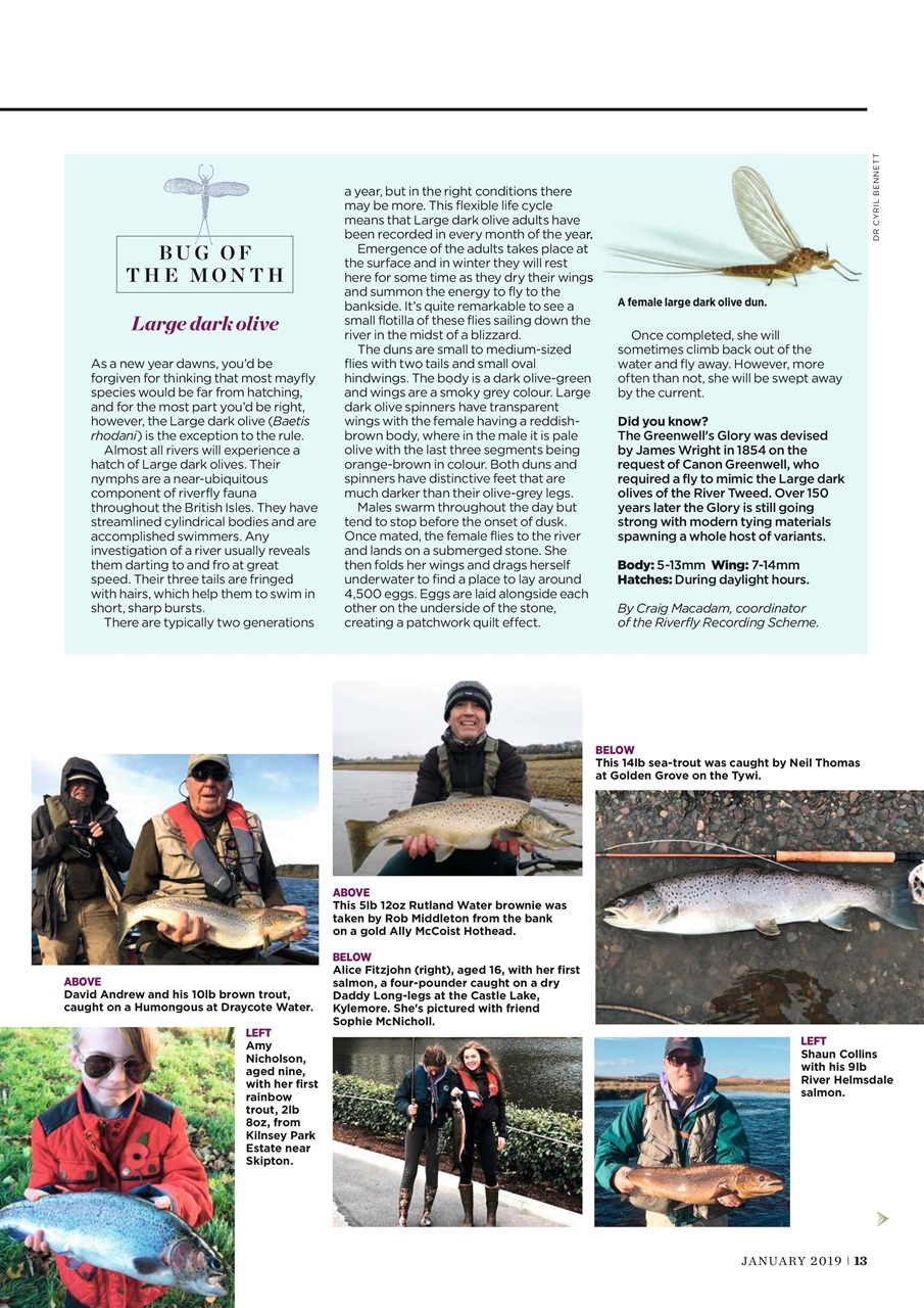 Trout & Salmon Preview Pages