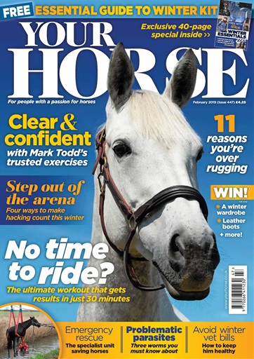 Your Horse issue 
