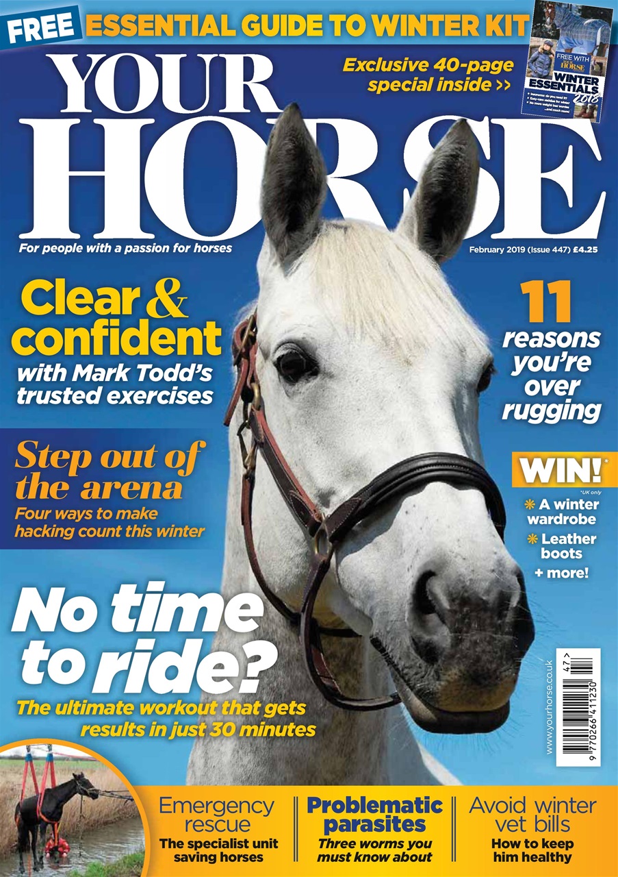 Your Horse Preview Pages