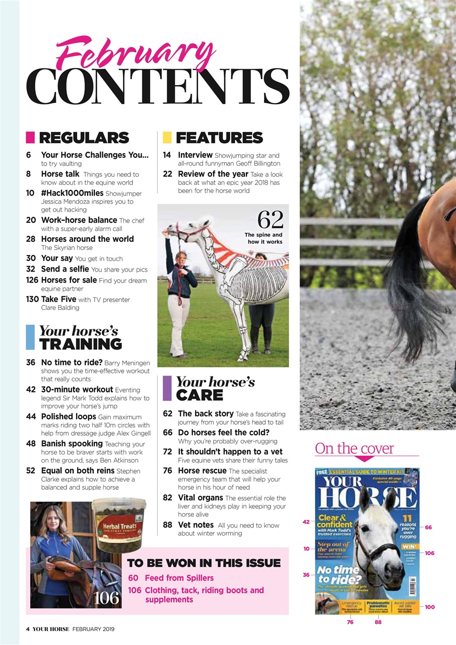 Your Horse Preview Pages