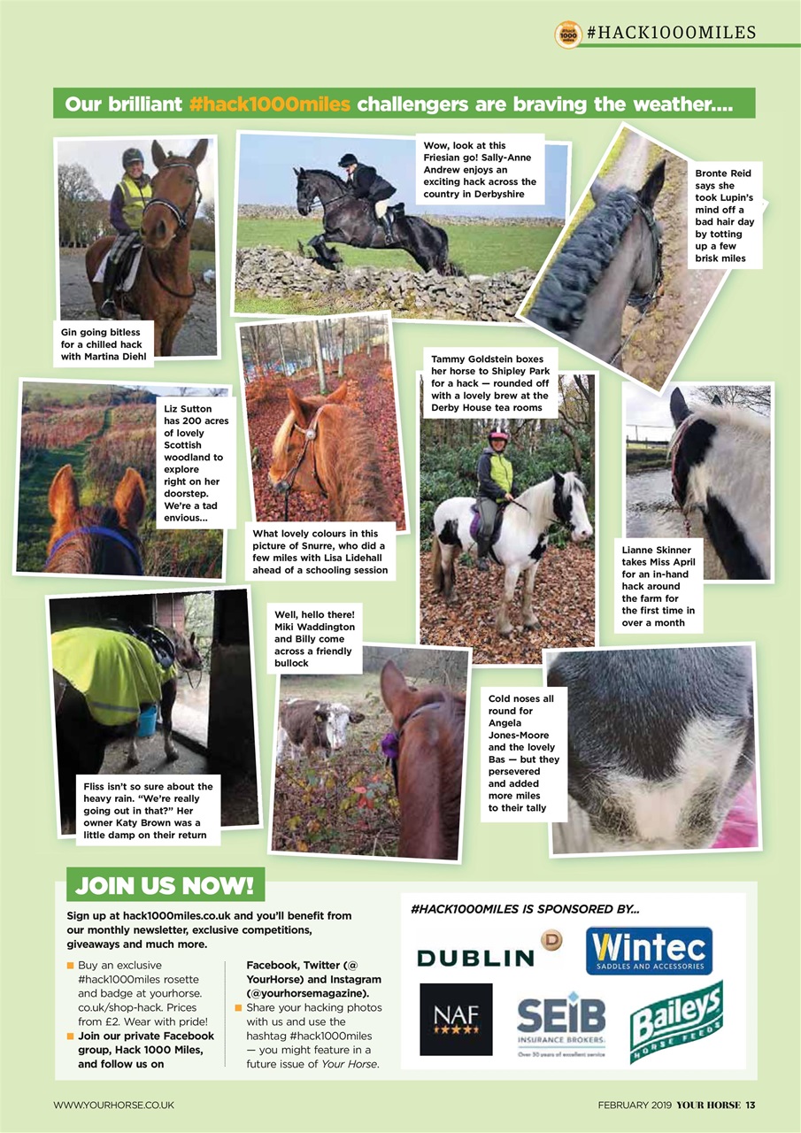 Your Horse Preview Pages