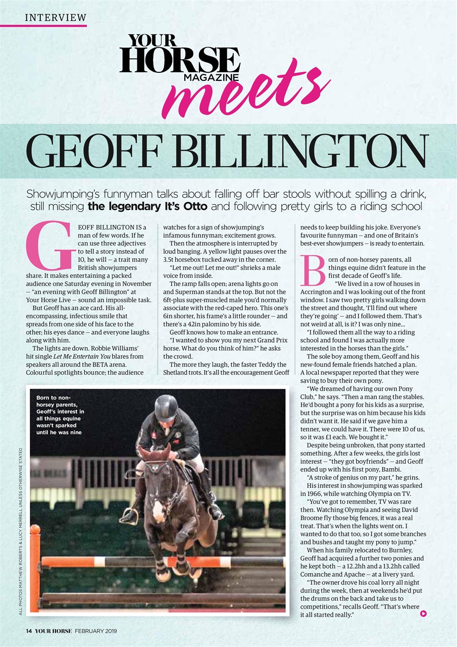 Your Horse Preview Pages