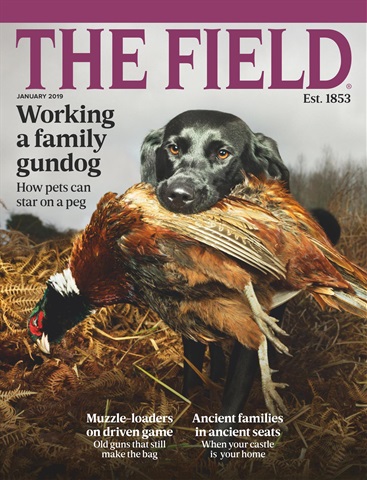 The Field issue January 2019