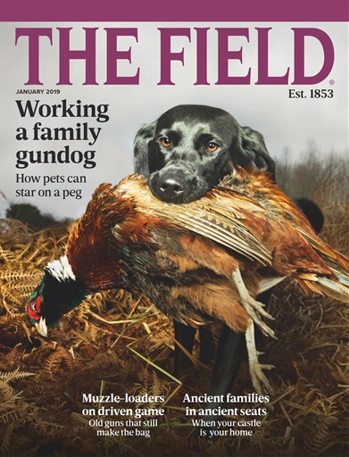 The Field issue 
