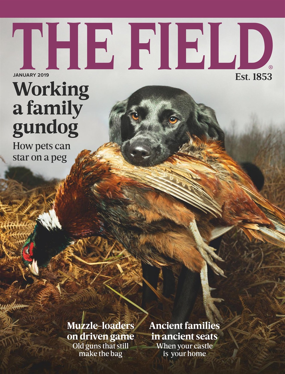 The Field Preview Pages