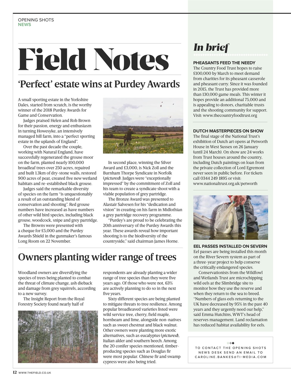 The Field Preview Pages