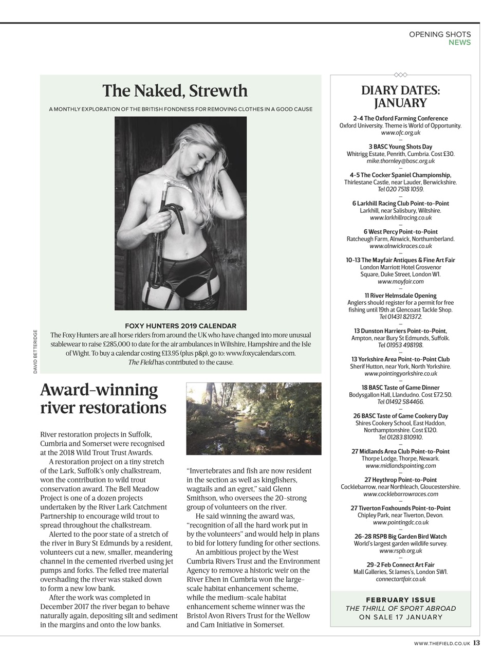 The Field Preview Pages