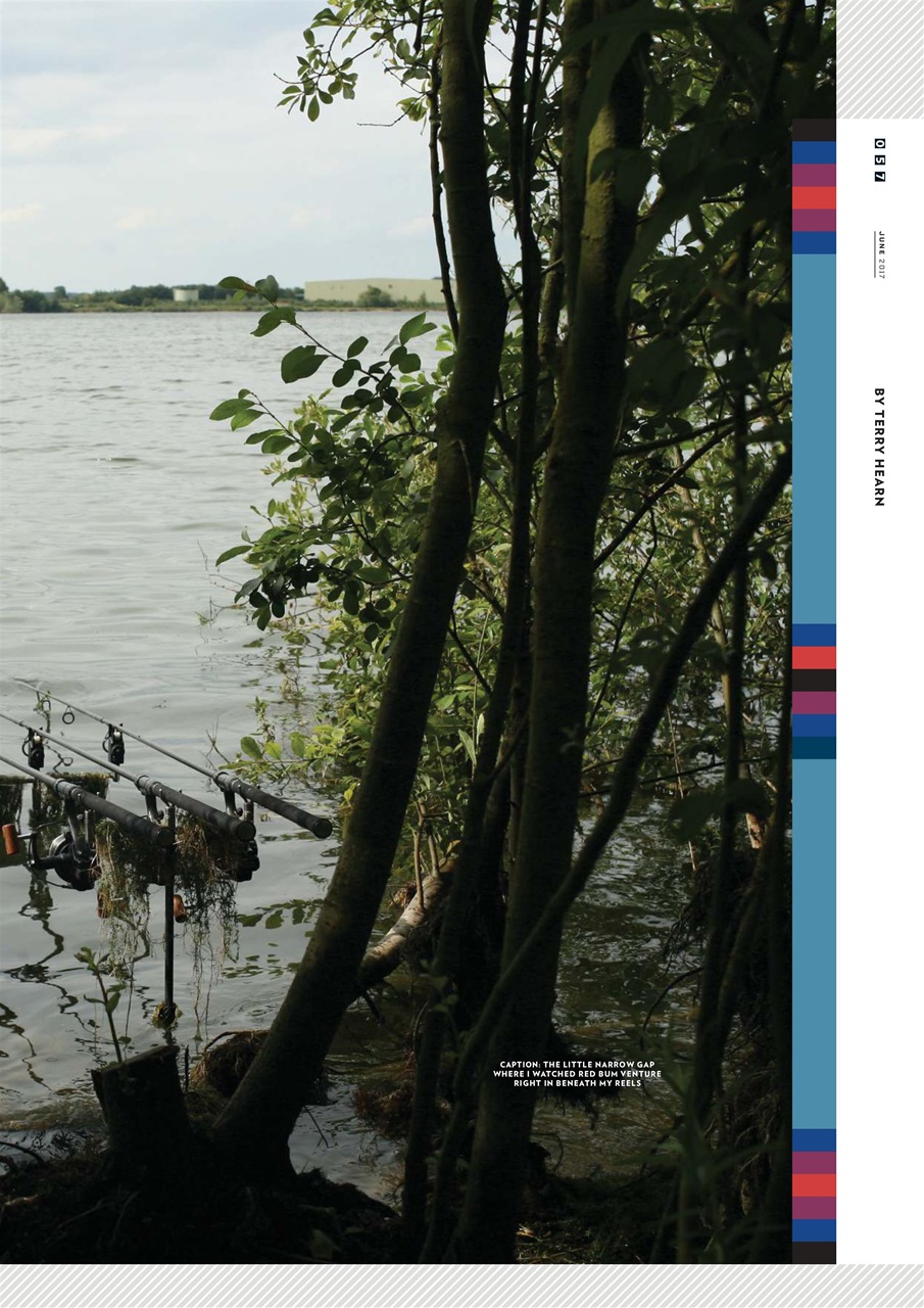 CARPology Magazine Preview Pages