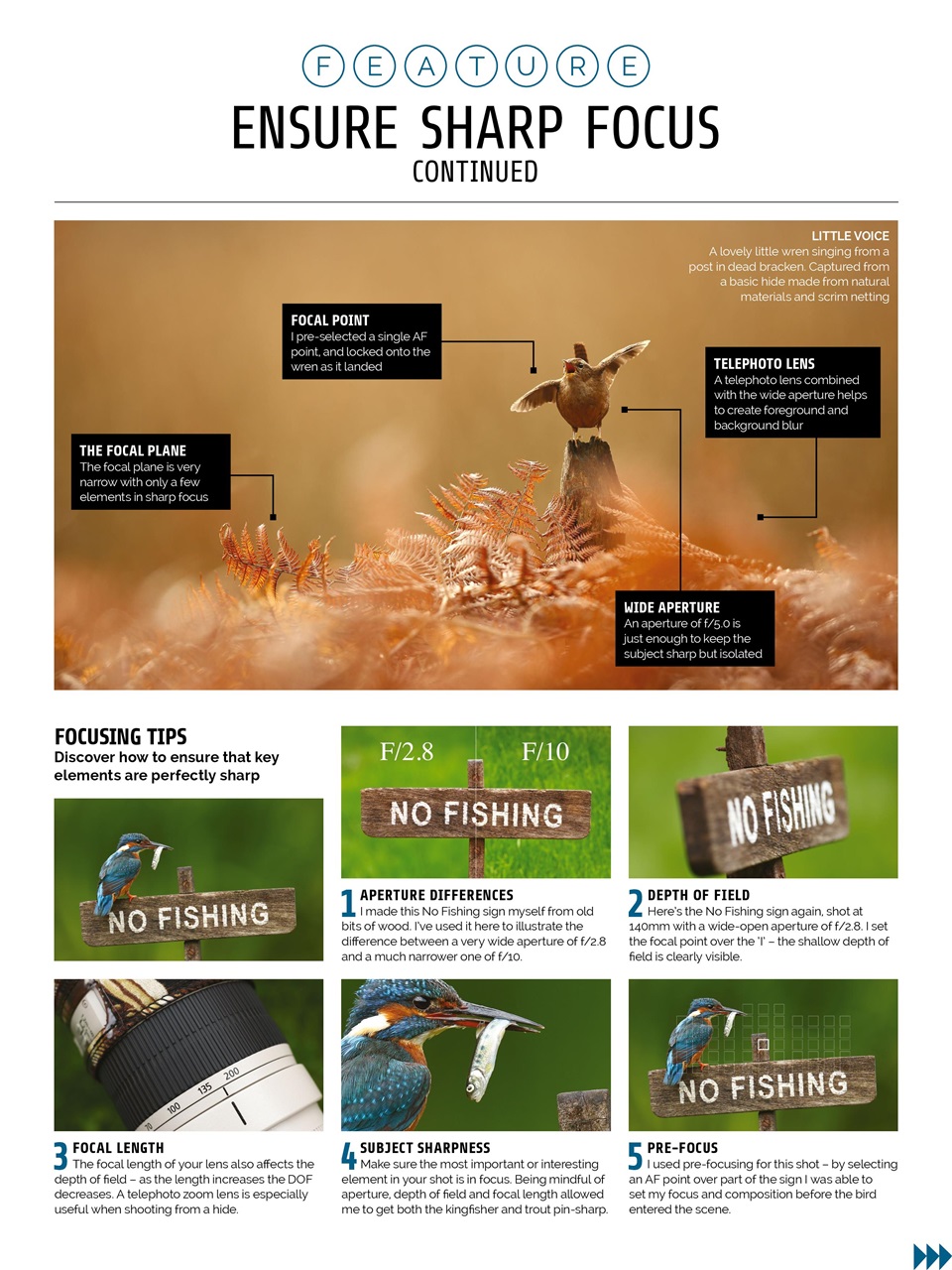 Photography Week Preview Pages