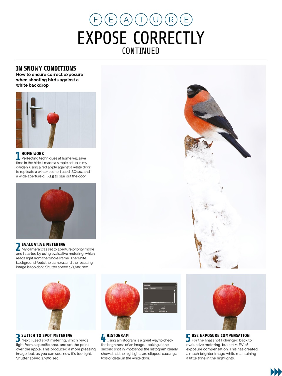 Photography Week Preview Pages