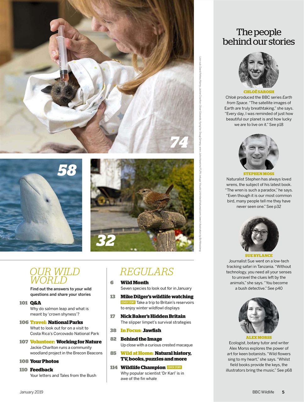 BBC Wildlife Magazine Preview Pages