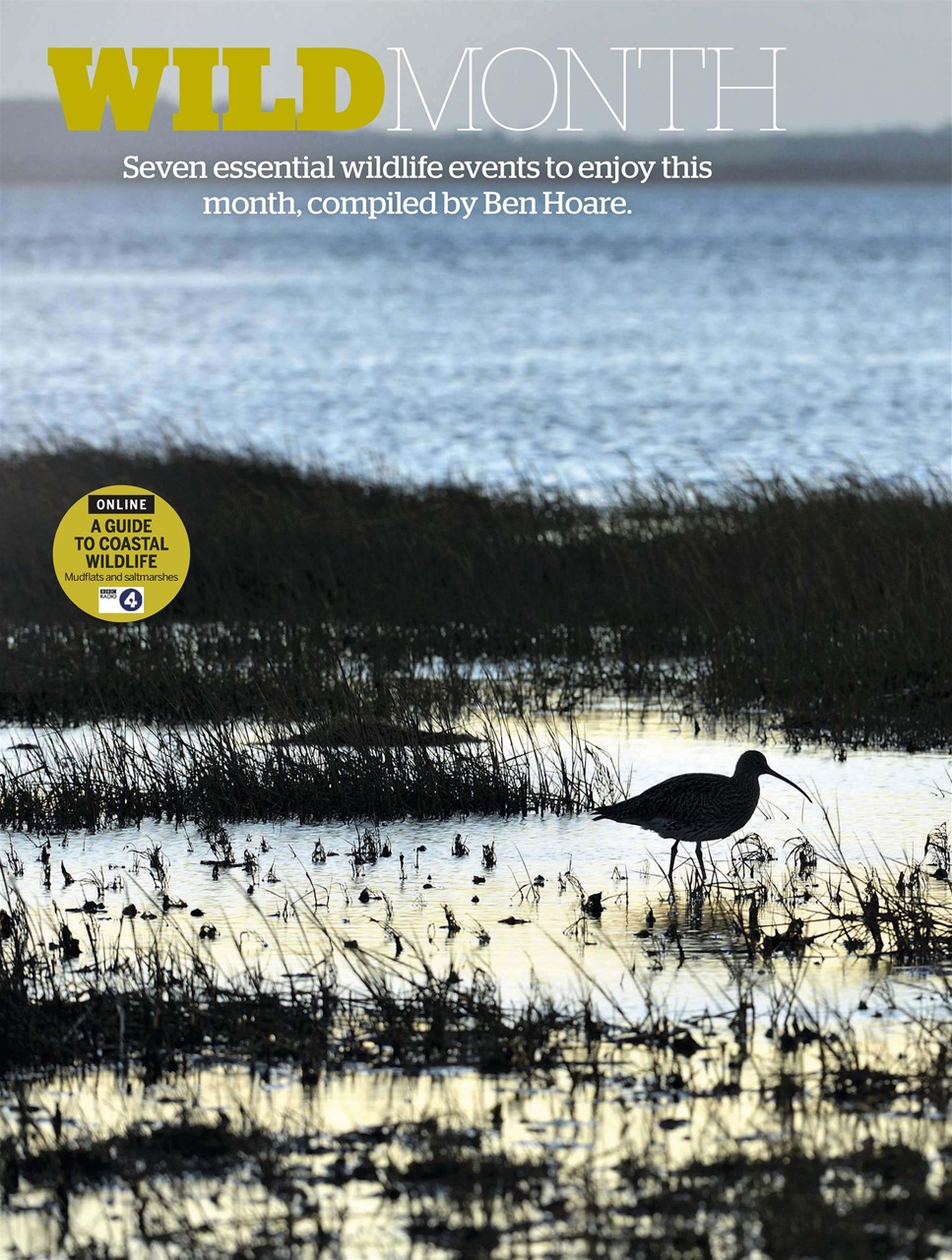 BBC Wildlife Magazine Preview Pages