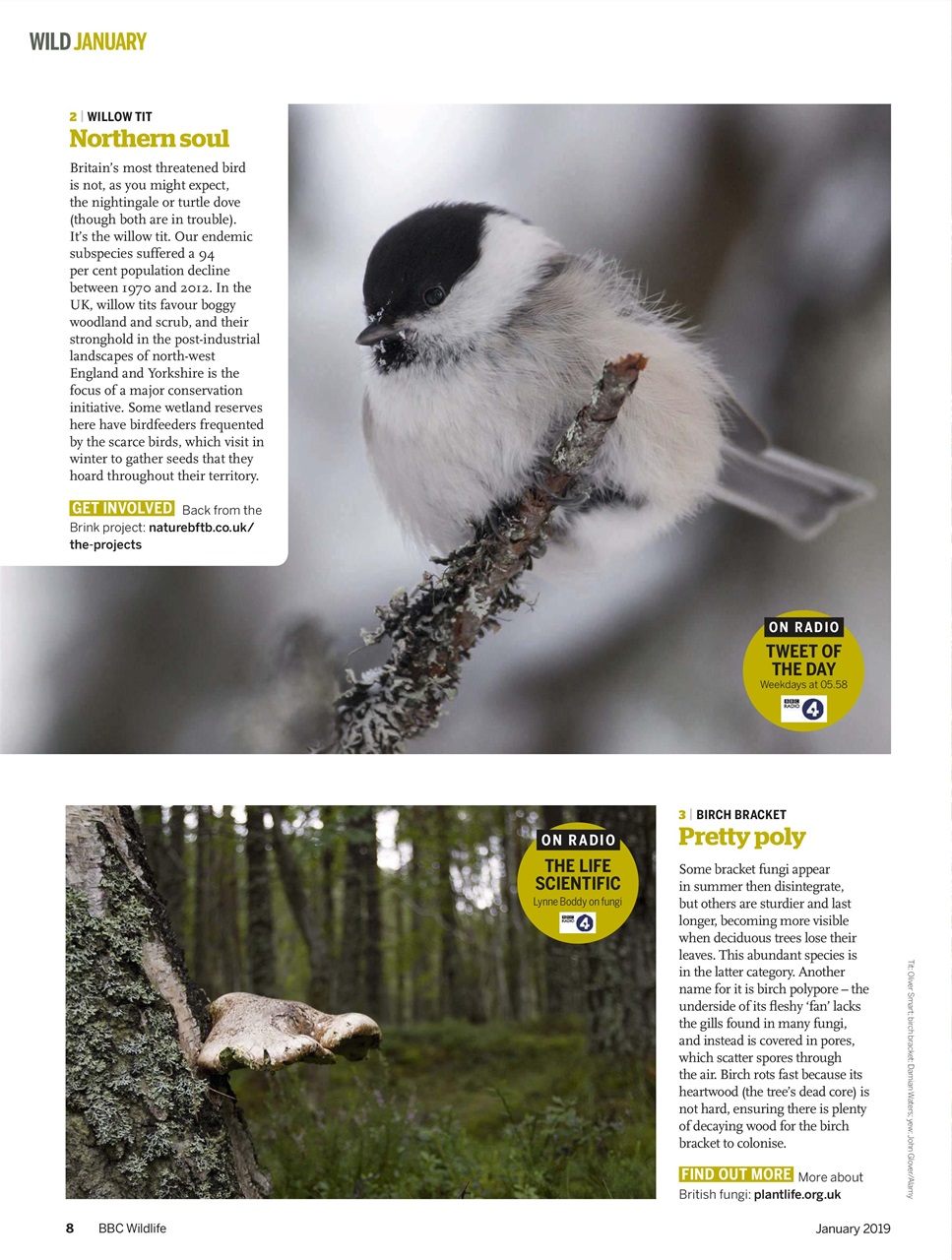 BBC Wildlife Magazine Preview Pages