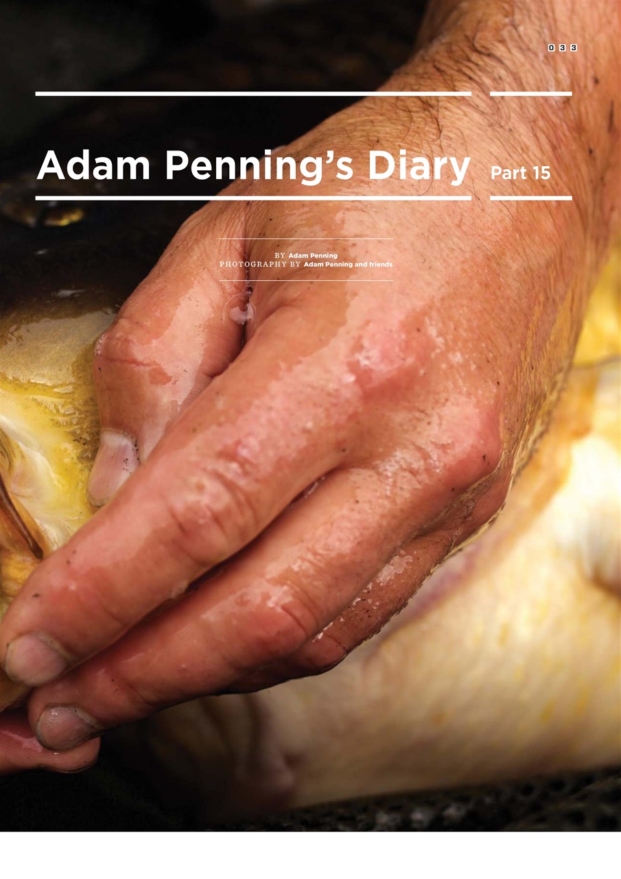 CARPology Magazine Preview Pages