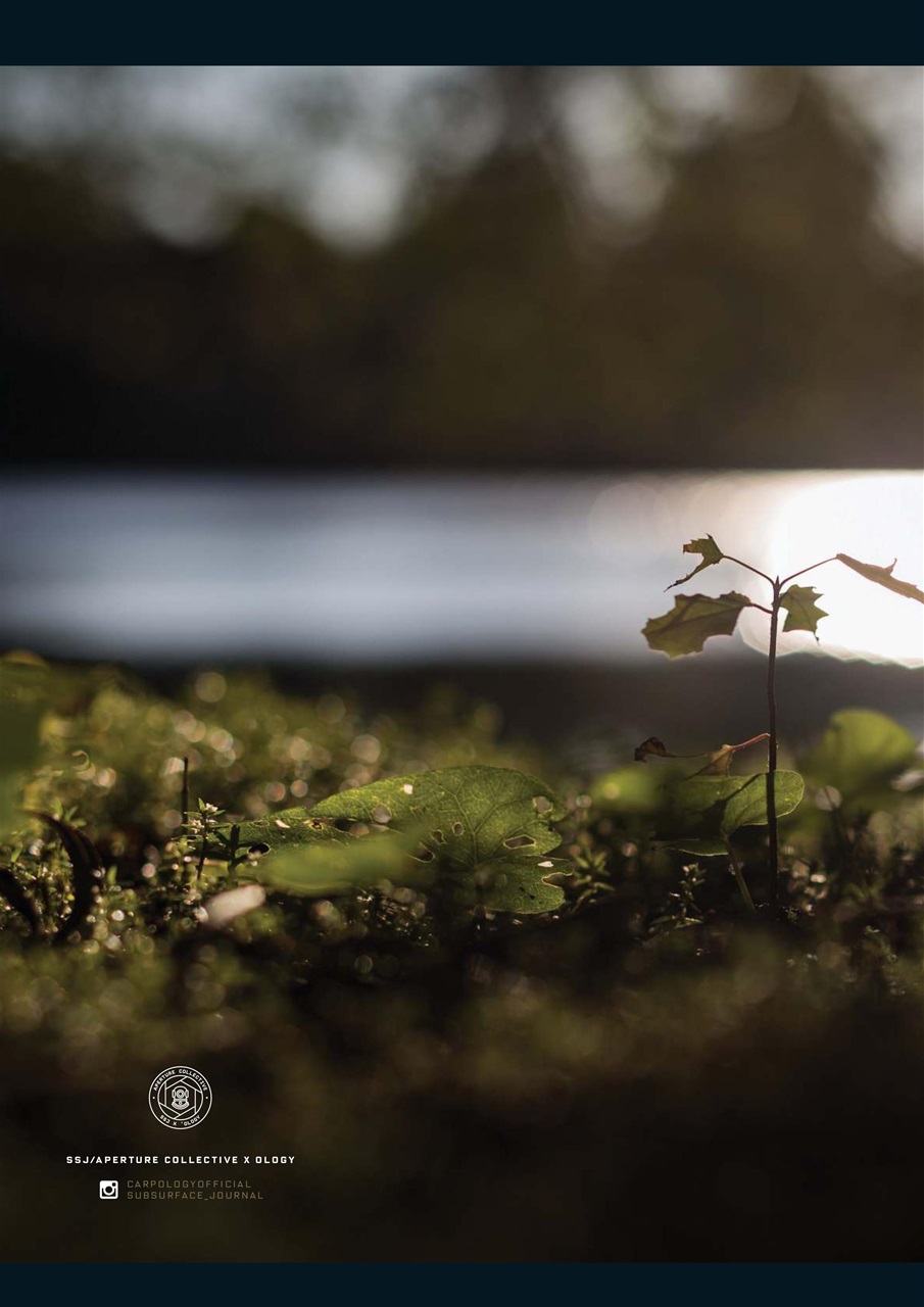 CARPology Magazine Preview Pages