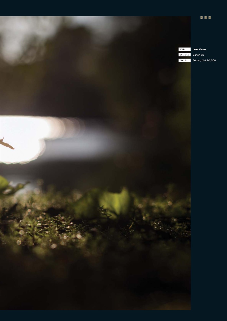 CARPology Magazine Preview Pages