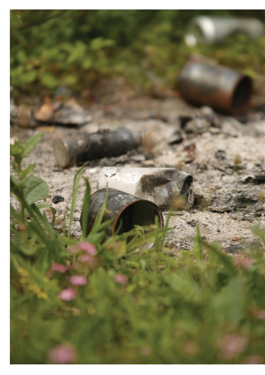 CARPology Magazine Preview Pages