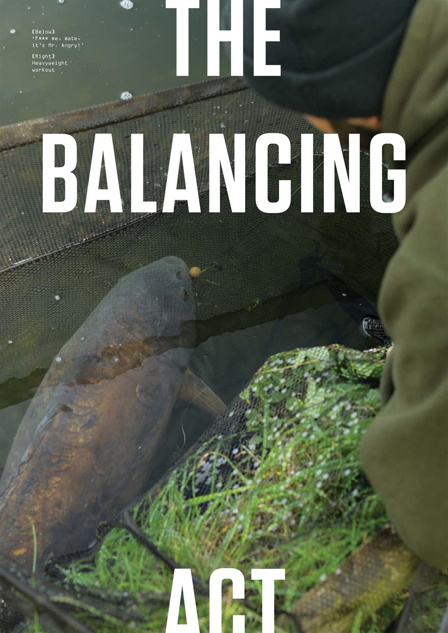 CARPology Magazine Preview Pages