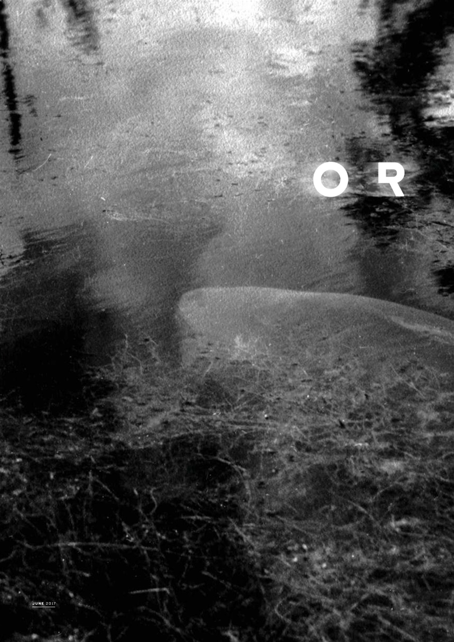 CARPology Magazine Preview Pages