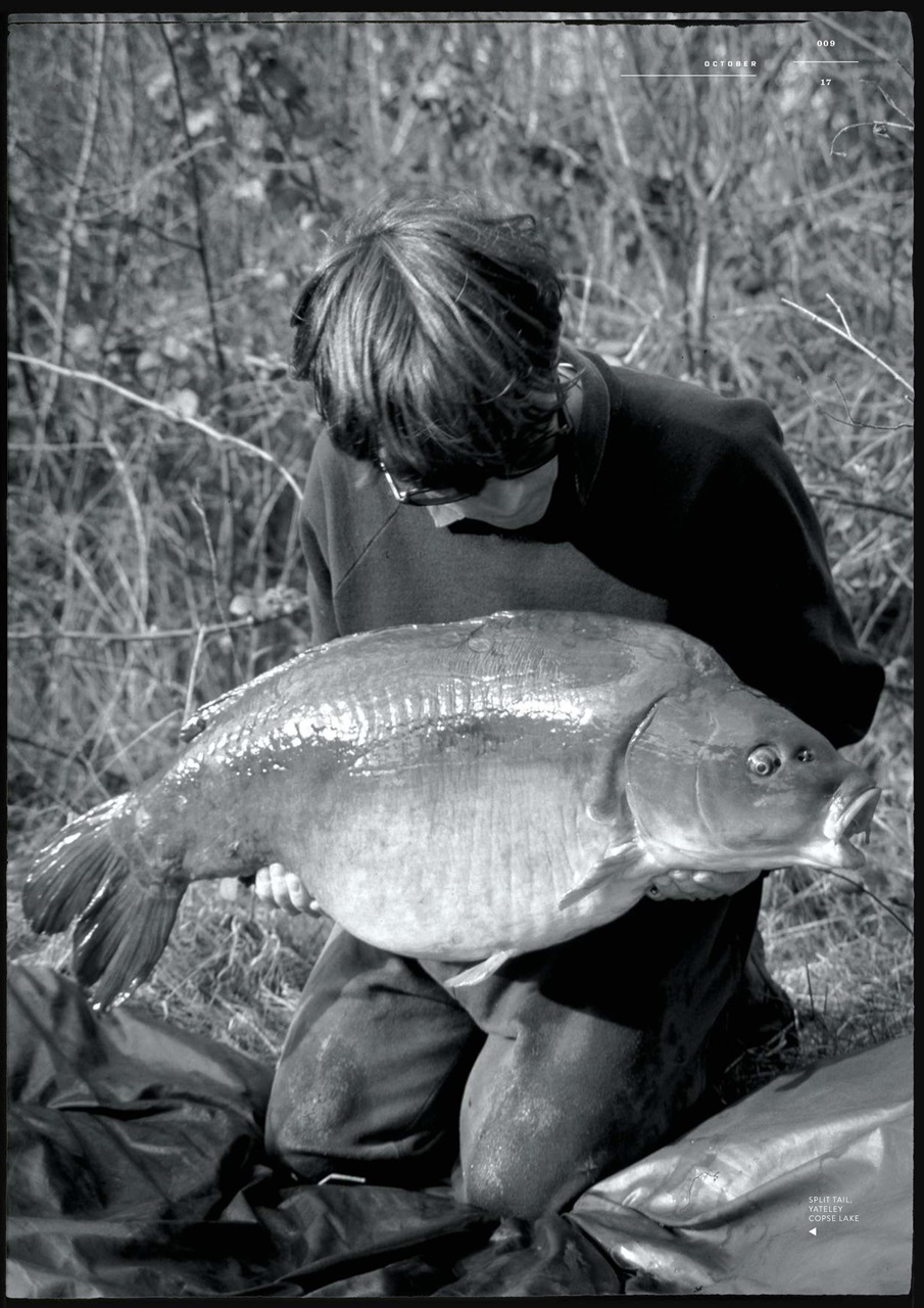 CARPology Magazine Preview Pages
