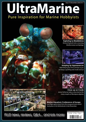 UltraMarine Magazine issue Dec 2018/Jan 2019
