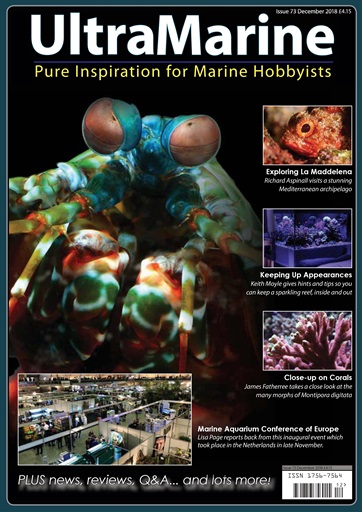 UltraMarine Magazine issue 