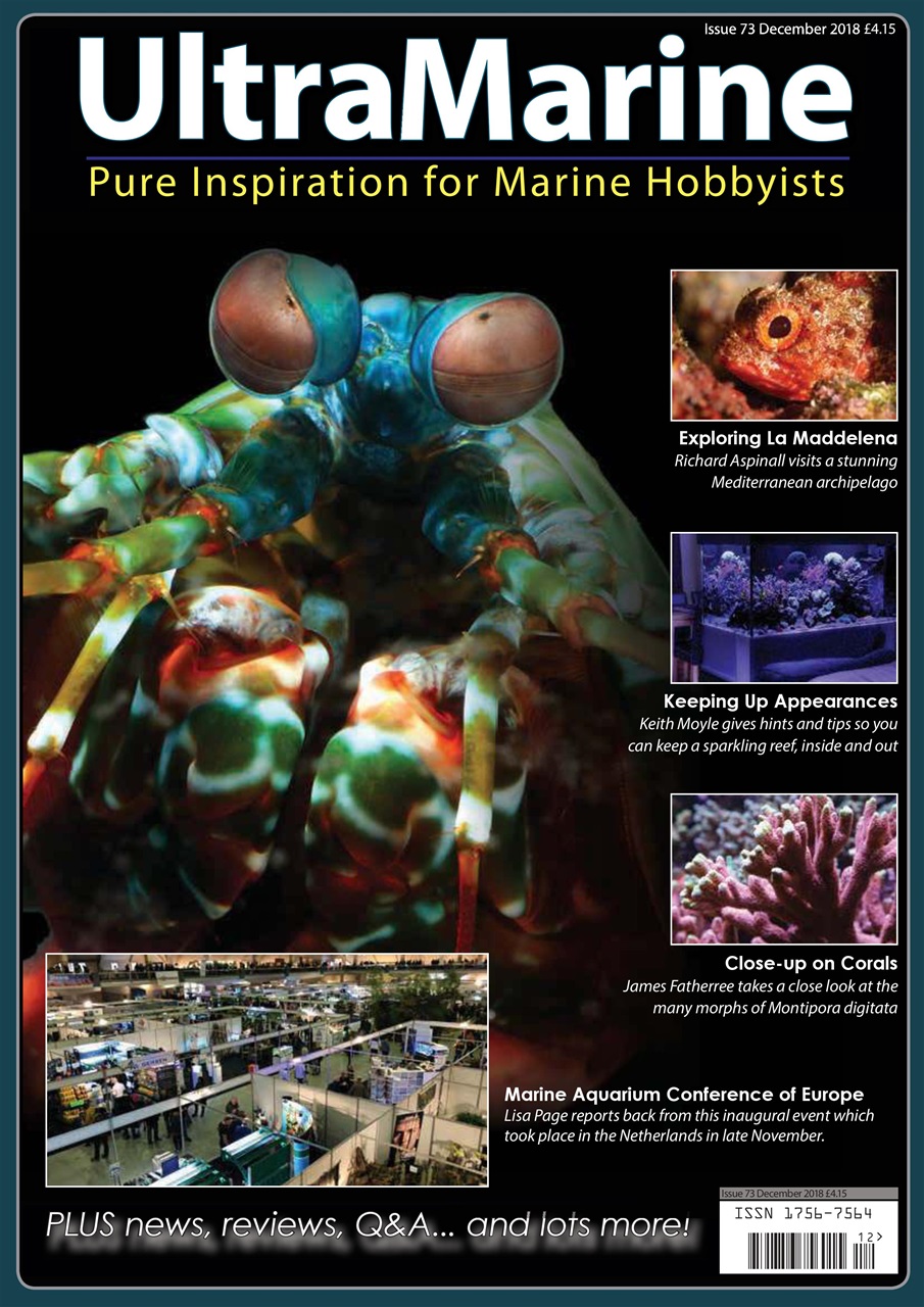 UltraMarine Magazine Preview Pages