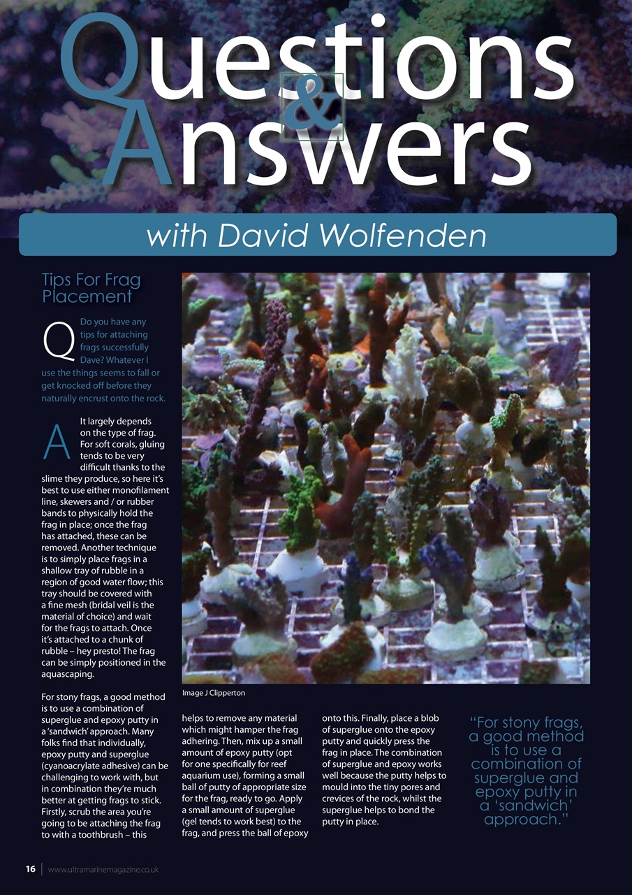 UltraMarine Magazine Preview Pages