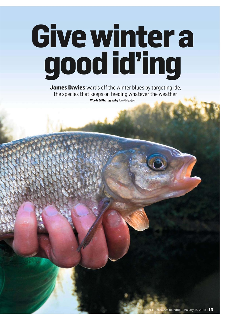 Improve Your Coarse Fishing Preview Pages