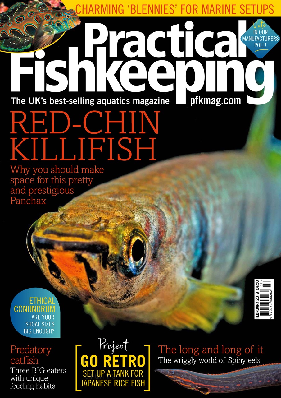 Practical Fishkeeping Preview Pages
