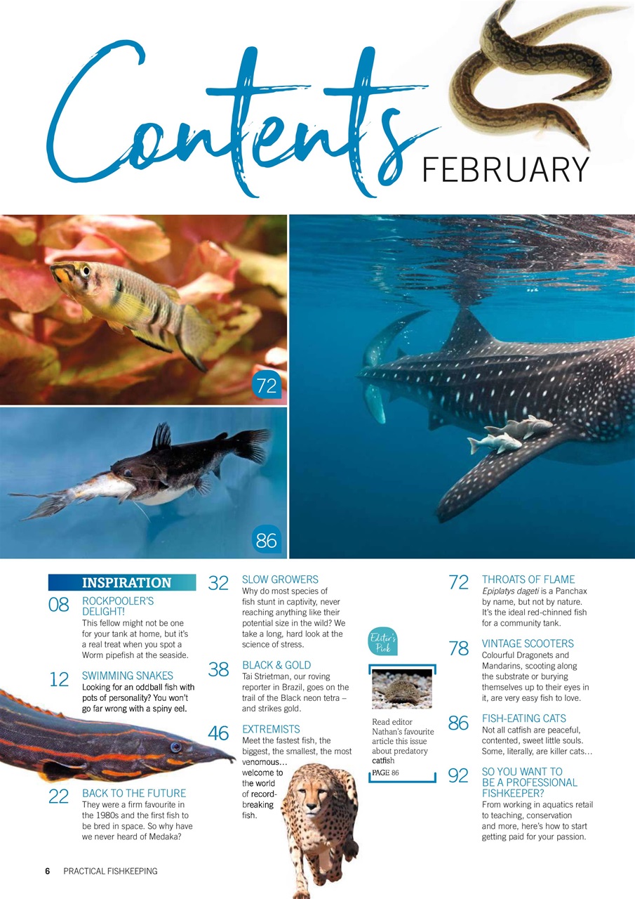 Practical Fishkeeping Preview Pages