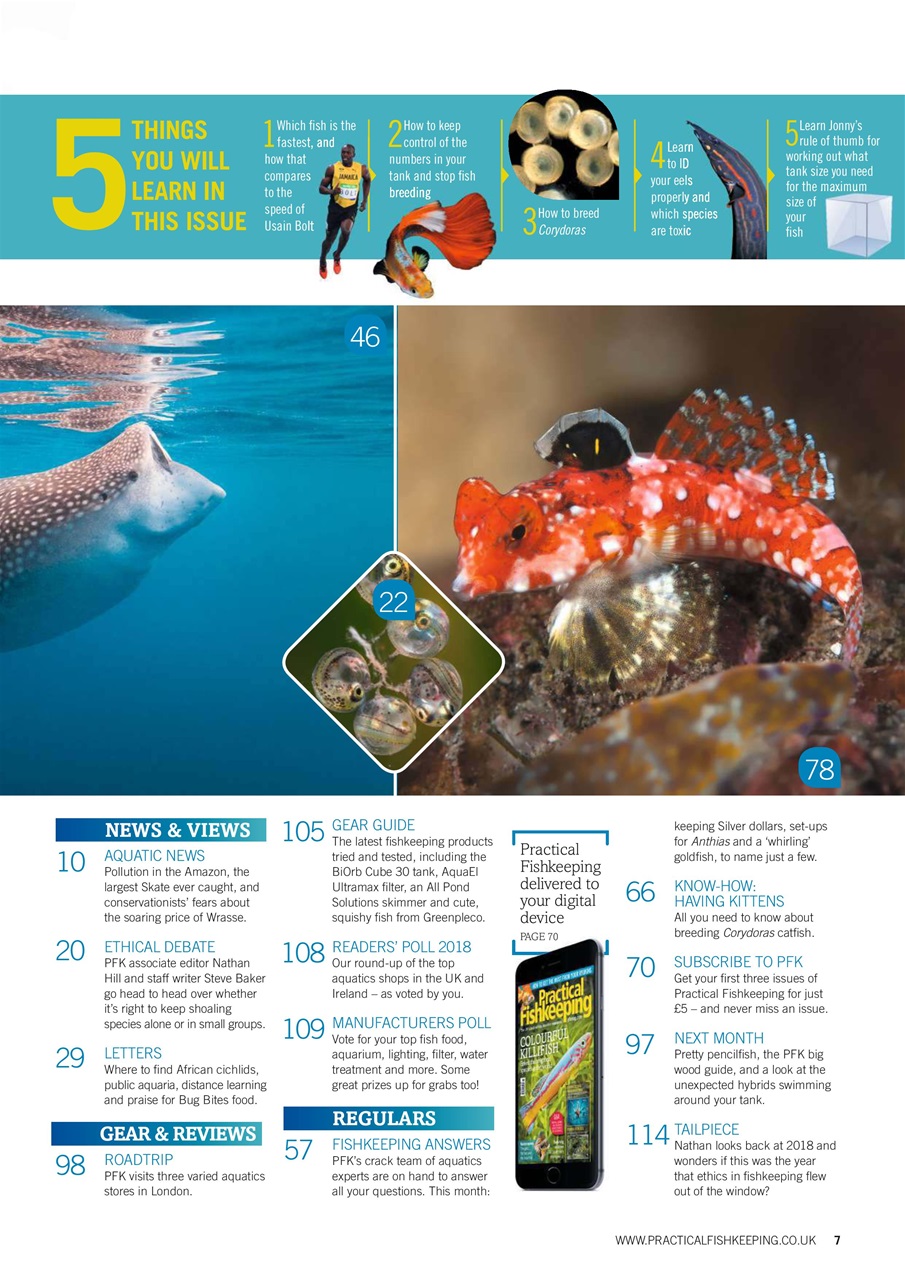 Practical Fishkeeping Preview Pages