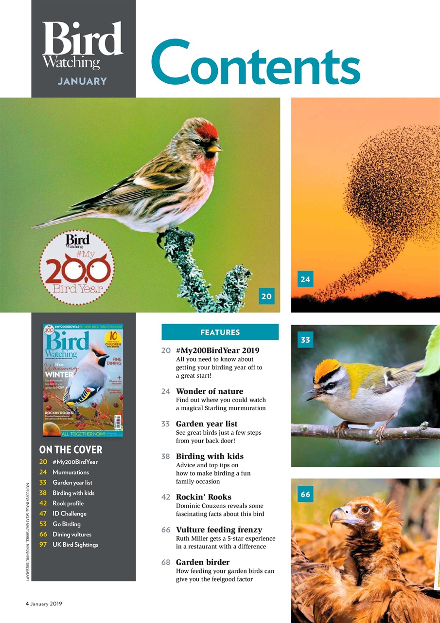 Bird Watching Preview Pages