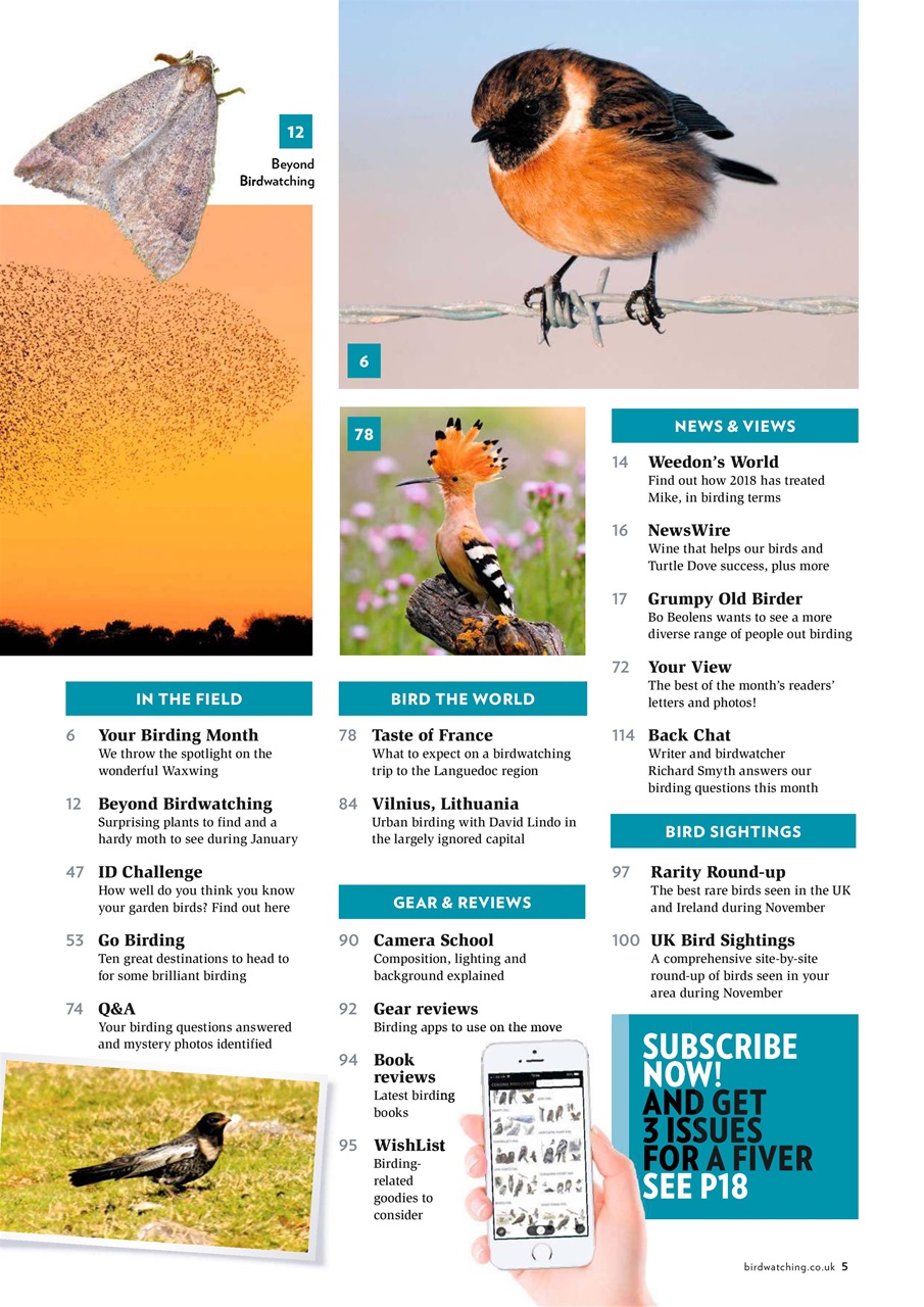 Bird Watching Preview Pages