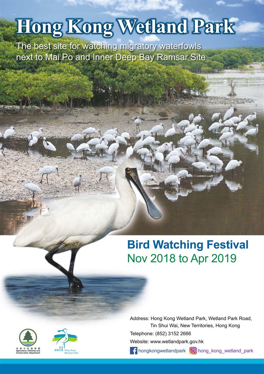 Bird Watching Preview Pages