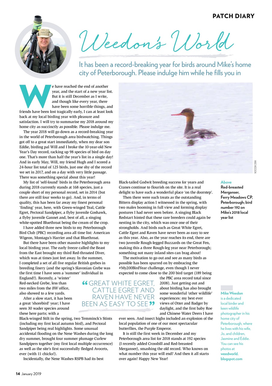 Bird Watching Preview Pages