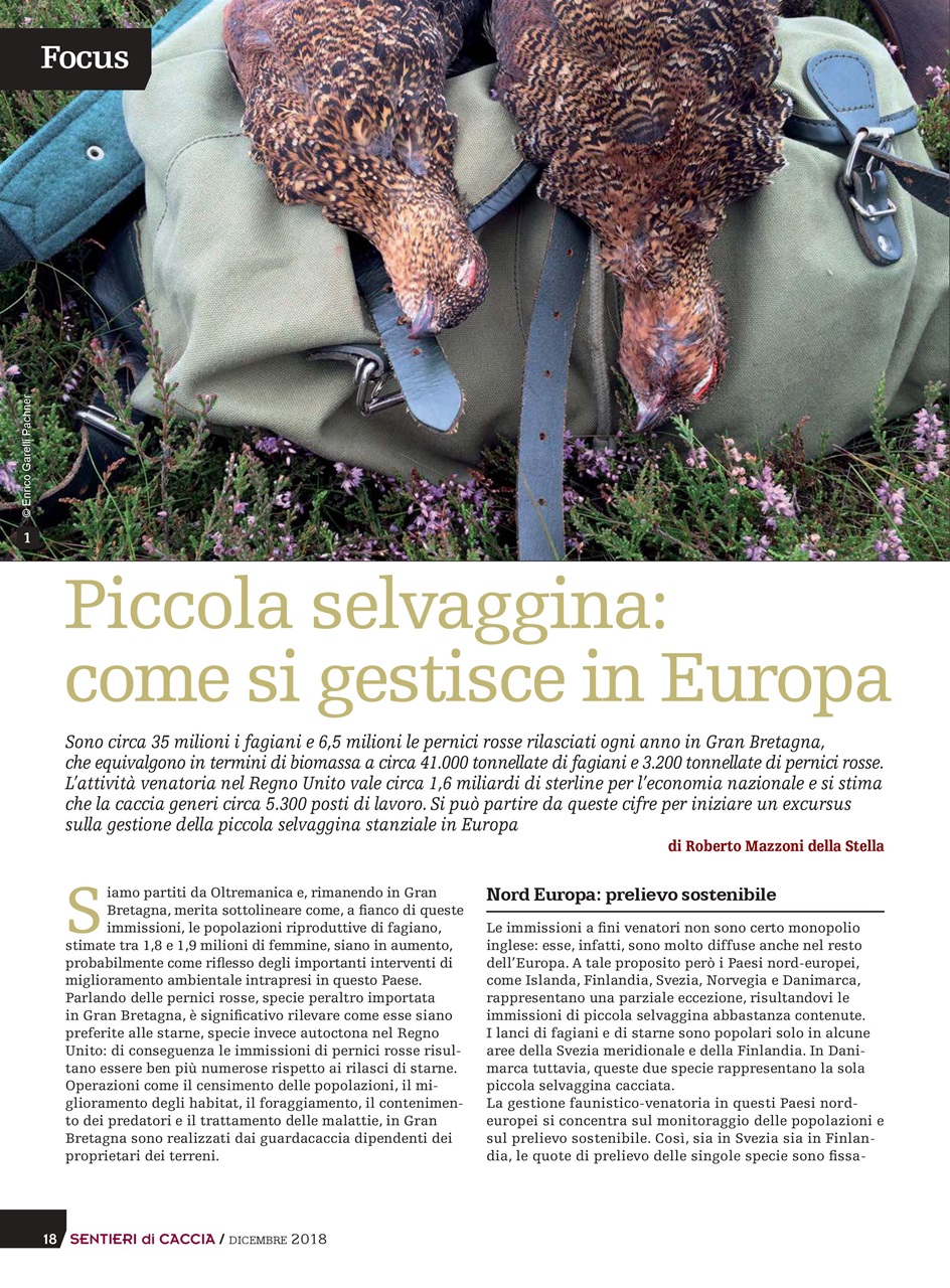 SENTIERI DI CACCIA Preview Pages