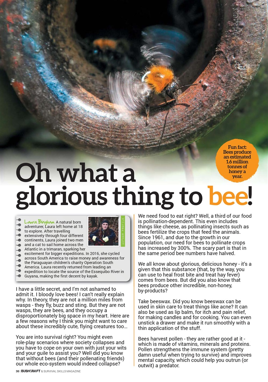 Bushcraft & Survival Skills Magazine Preview Pages