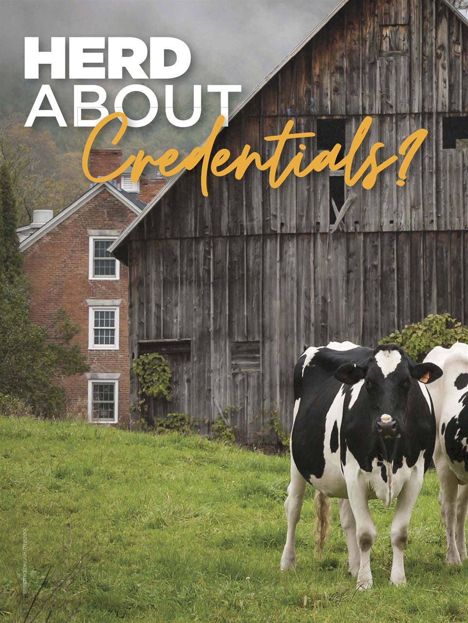 Hobby Farms Magazine Preview Pages