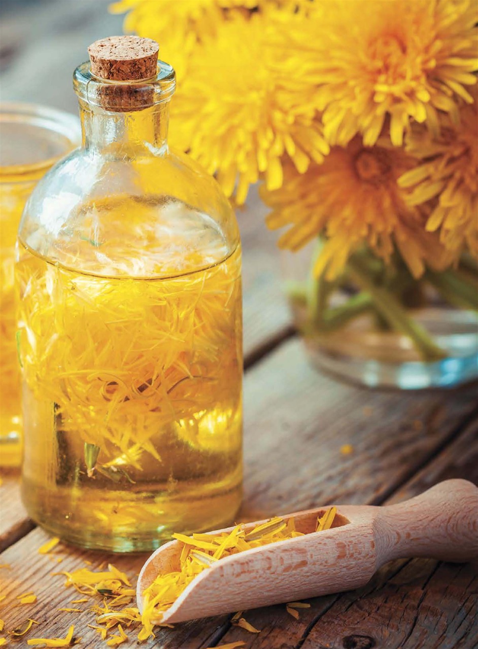 Hobby Farms Magazine Preview Pages