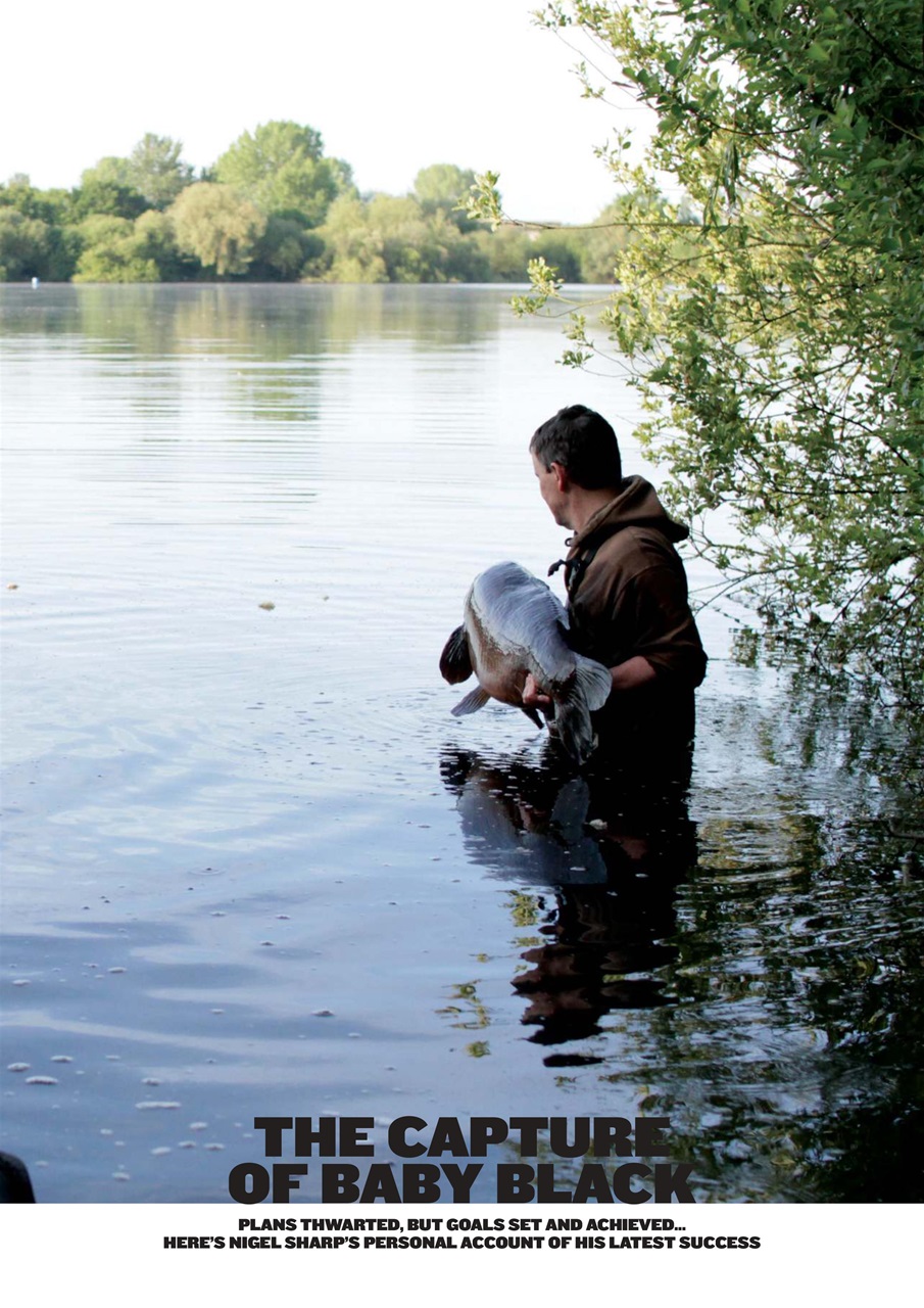 CARPology Magazine Preview Pages
