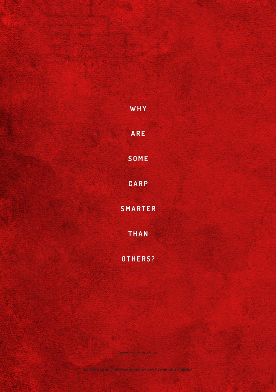 CARPology Magazine Preview Pages