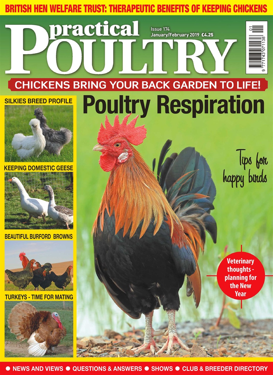 Practical Poultry Preview Pages