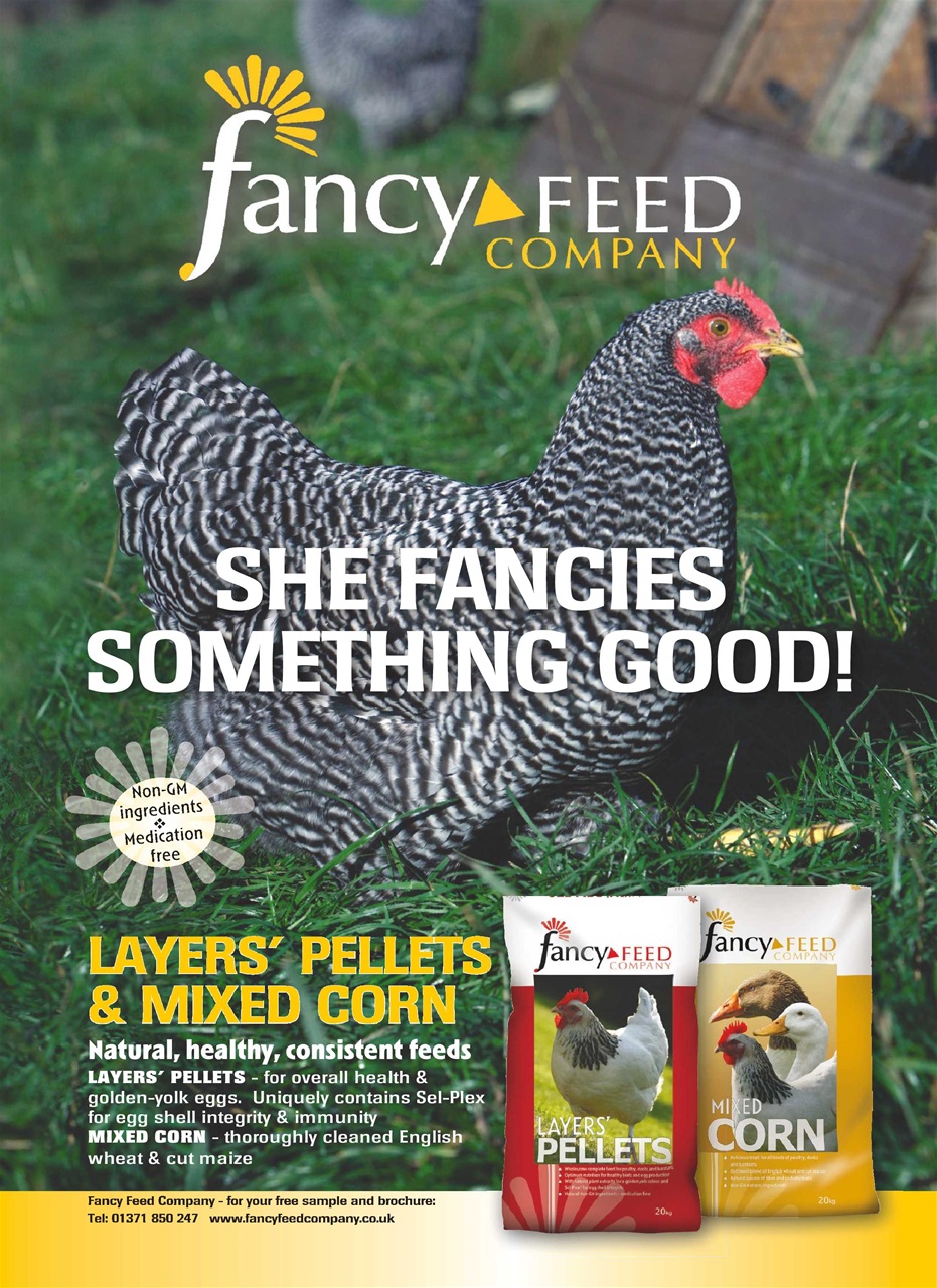 Practical Poultry Preview Pages