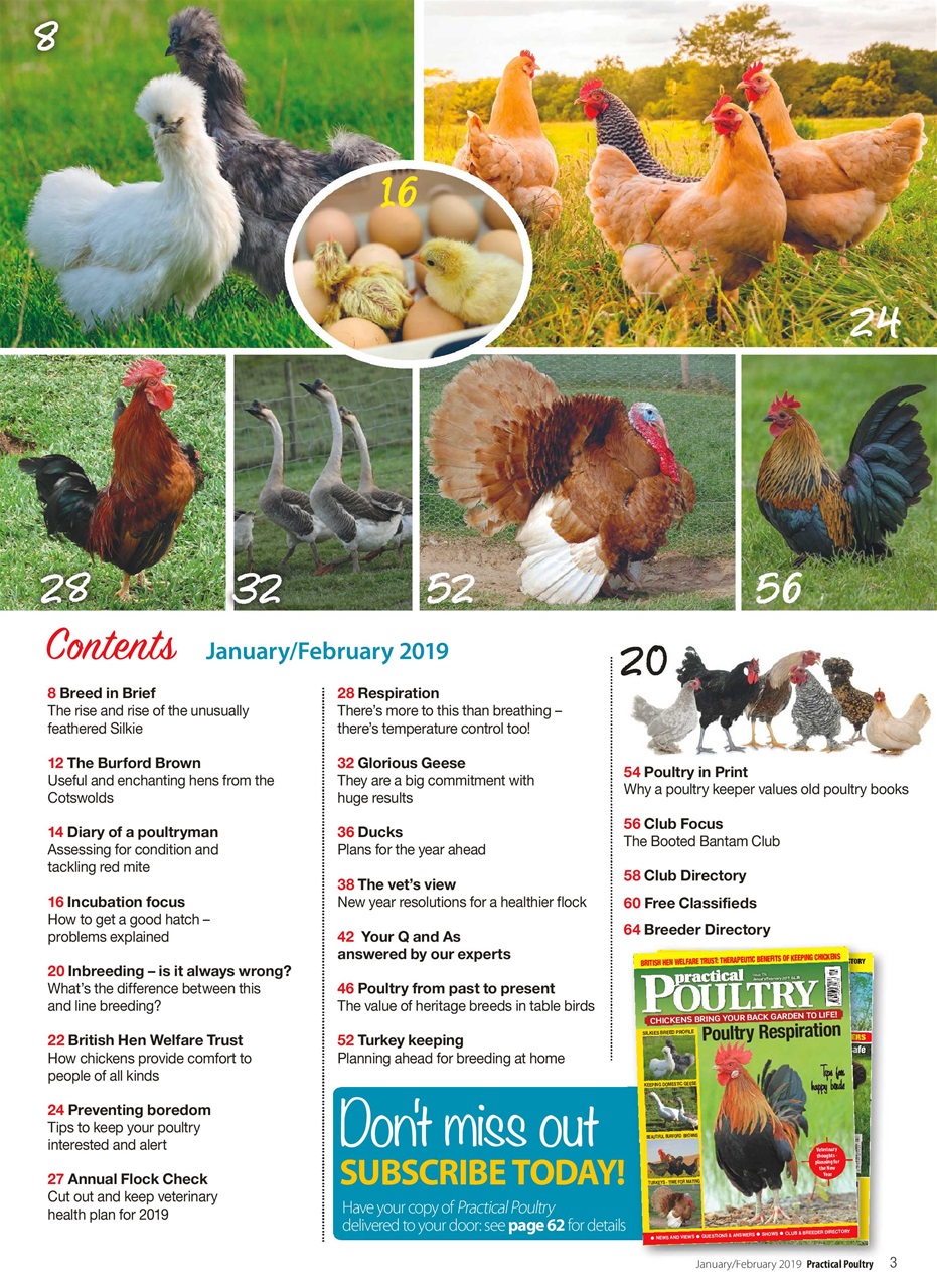 Practical Poultry Preview Pages